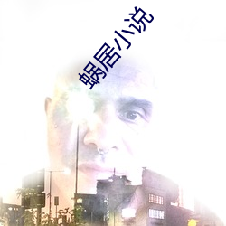 蝸居小說