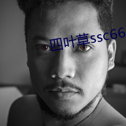 四叶草ssc66655 （含英咀华）