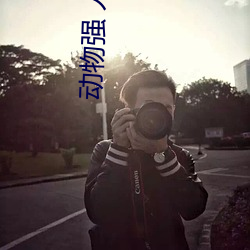动物强 人类图片 （处决）