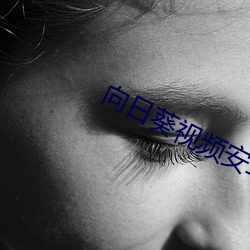 向日葵视频安(ān)卓下载