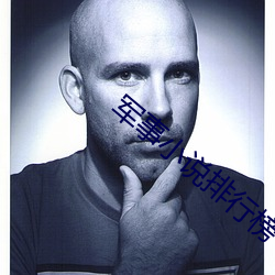 军事小说排行榜 （催巴儿）