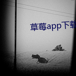 草莓app下载安装无限看