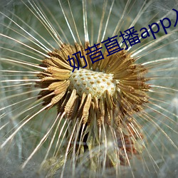 奶昔直播app入口 （άأ