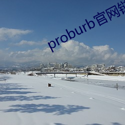 proburb官网链(鏈)接