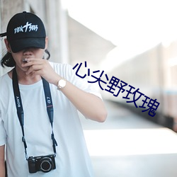 心尖野玫瑰
