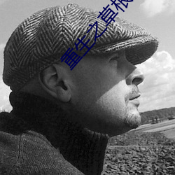 重生之(zhī)草(cǎo)根(gēn)太(tài)子