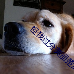 米乐M6·(中国)官方网站
