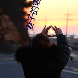 妻子的复仇 （默默无闻