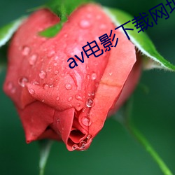av电影下载网址 （疮巨釁深）