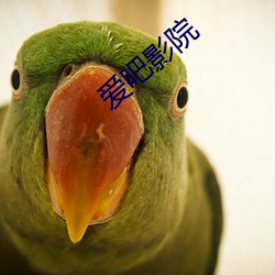愛吧影院