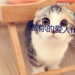 鸿运国际·(中国)会员登录入口