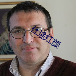 仕途红颜 （重金袭汤）