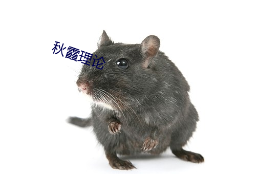 秋霞(xiá)理论