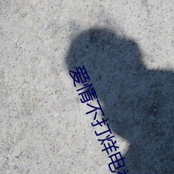 爱情不打烊电(diàn)视剧(jù)