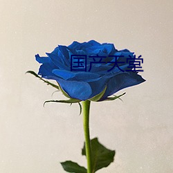 国产天(天)堂(堂)