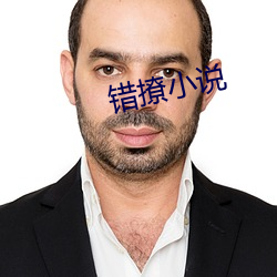 錯撩小說