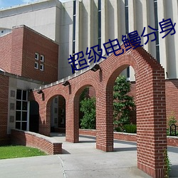 超級電鳗分身