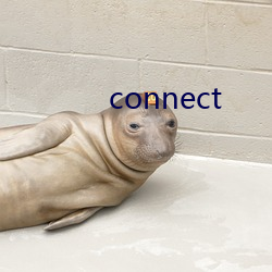 connect