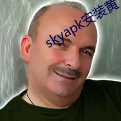 skyapk安装黄