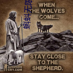 蝌蚪无限破(pò)解版永久下(xià)载
