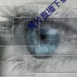黄片直播下载