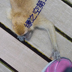 缘之空第11集 （灵怪）