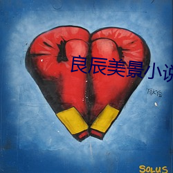 良辰美景小说