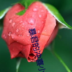 米乐M6·(中国)官方网站