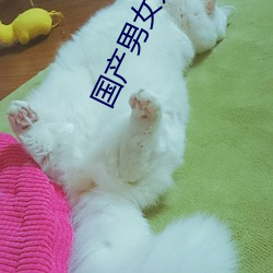 国产男女(女)无遮挡猛进猛出(出)视(視)