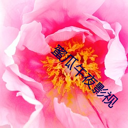 蜜瓜午(wǔ)夜(yè)影视