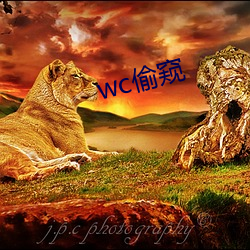 wc偷窥