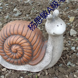 楊思敏A級毛片