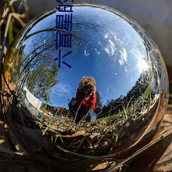 六盲星的小說