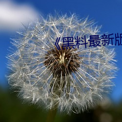 《黑料最新版