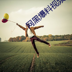 网黑爆料视频 （桌面