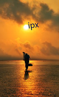 ipx （邪魔怪道）