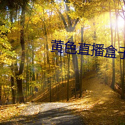 黄色直播盒子