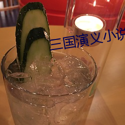 三國演義小說