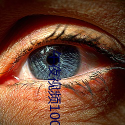 午夜视频1000合集92在线