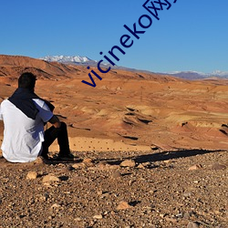 vicineko網頁鏈接