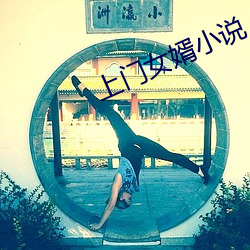 上门女婿小说