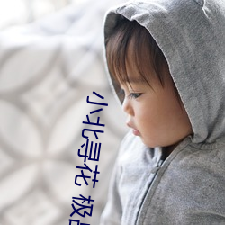 小北尋花 極品