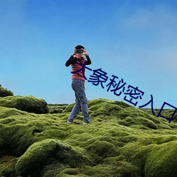 AG真人平台(中国)官方网站