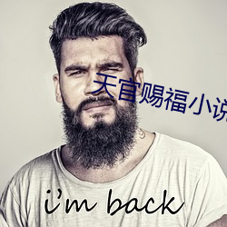 天官赐福小说txt下载