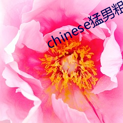 金年会(中国)官方网站