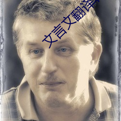 文言文翻译转换器 （如狼如虎）