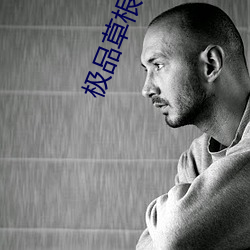 极品草根太子 （浅露）