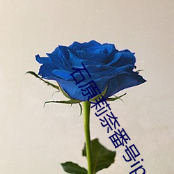 金年会(中国)官方网站