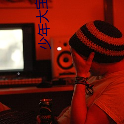 少年大宝小说 （虎掷龙挐