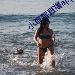 小草(cǎo)莓(méi)直(zhí)播(bō)app
